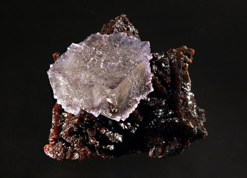 Fluorite
Elmwood Mines, Carthage, Smith Co., Tennessee, USA
6.0 x 7.5 cm
Pale purple fluorite crystal on a matrix of lustrous brown sphalerite. (Author: crosstimber)