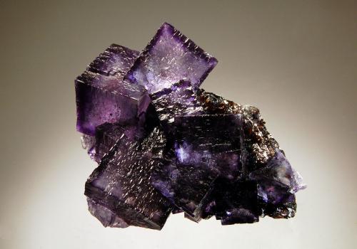 Fluorite
Elmwood Mines, Carthage, Smith Co., Tennessee, USA
6.2 x 8.1 cm
Zoned purple fluorite crystals with a mosaic surface texture on brown sphalerite. (Author: crosstimber)
