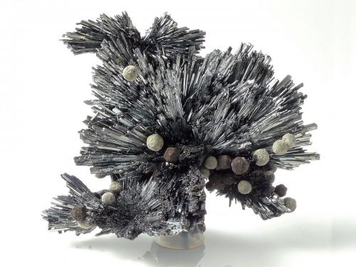 Stibnite with Siderite
Herja Mine, Chiuzbaia (Kisbánya), Baia Mare (Nagybánya), Maramures Co., Romania
7 x 5.5 x 3.5 cm (Author: xdxucn)