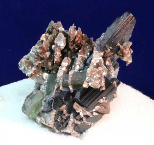 Ferberite, Fluorapatite (Apatite Group), Muscovite
Panasqueira Mine (Couto Mineiro da Panasqueira), Panasqueira, Covilhã, Castelo Branco District, Portugal
6.0 x 5.5 x 5.3 cm
ex Norman E. Dawson (Author: Don Lum)