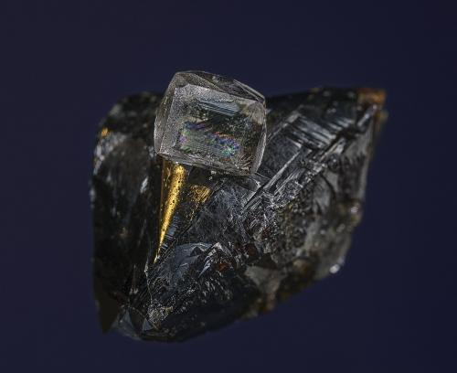 Fluorite, Sphalerite
Elmwood mine, Carthage, Smith Co., Tennessee, USA
2.4 x 1.6 x 1.4 cm (Author: am mizunaka)