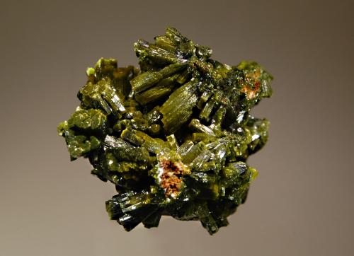 Pyromorphite
Wheatley Mine, Phoenixville, Chester County, Pennsylvania, USA
3.0 x 4.5 cm
The Wheatley Mine was a lead-silver mine that operated from 1851 to 1867.  Most of the specimens date to the 1850s. (Author: crosstimber)