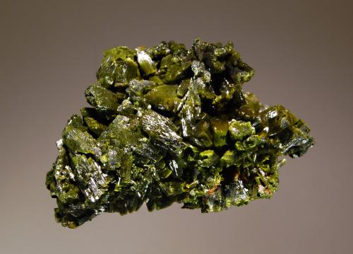 Pyromorphite
Wheatley Mine, Phoenixville, Chester County, Pennsylvania, USA
3.0 x 4.5 cm
Olive-green, pyromorphite crystals to 0.7 cm forming a solid crystallized mass.  A few crystals are hoppered, but most are terminated with a simple pinacoid. (Author: crosstimber)
