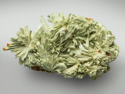 Kottigite, Parasymplesite<br />Ojuela Mine, Mapimí, Municipio Mapimí, Durango, Mexico<br />28x15x14 mm<br /> (Author: xdxucn)