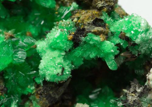 Annabergite (Mg-bearing annabergite)<br />Km-3 Mine, Lavrion, Lavrion Mining District, Attikí (Attica) Prefecture, Greece<br />4 x 2 x 2.5 cm<br /> (Author: xdxucn)