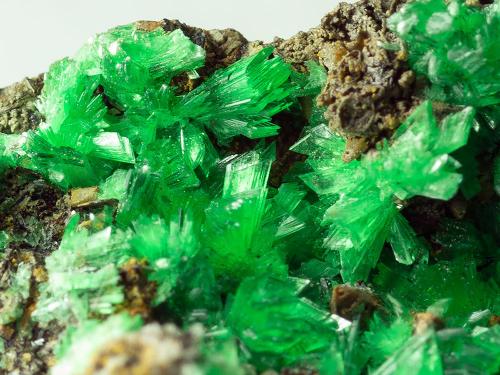 Annabergite (Mg-bearing annabergite)<br />Mina Km-3, Lavrion, Distrito minero Lavrion, Prefectura Attikí (Attica), Grecia<br />4 x 2 x 2.5 cm<br /> (Author: xdxucn)