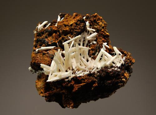 Cerussite
Pentire Glaze Mine, Polzeath, St. Minver, Cornwall, England
5.3 x 5.6 cm
A jackstraw arrangement of white cerussite crystals on a brown gossan matrix. (Author: crosstimber)