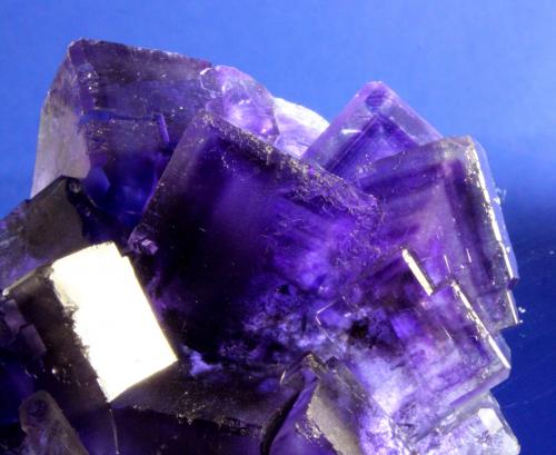 Fluorite
Mine, Huergo, La Collada mining area, Siero, Asturias, Spain
8.2 x 8.0 cm
A cluster of richly saturated intense purple intergrown and equant fluorite cubes.  The cubes are lustrous and translucent and exhibit thin modifying faces to the cubes and phantoms (Author: Don Lum)