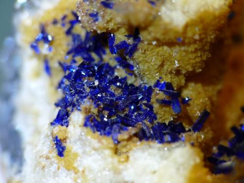 Azurite on calcite
Tsumeb, Namibia
27 x 26 x 22 mm
Same as above. (Author: Pierre Joubert)