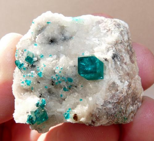 Dioptase on calcite.
Tsumeb, Namibia
47 x 36 x 31 mm
Same as above. (Author: Pierre Joubert)