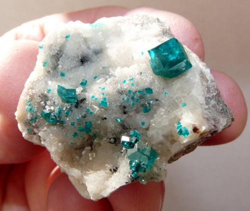 Dioptase on calcite.
Tsumeb, Namibia
47 x 36 x 31 mm (Author: Pierre Joubert)