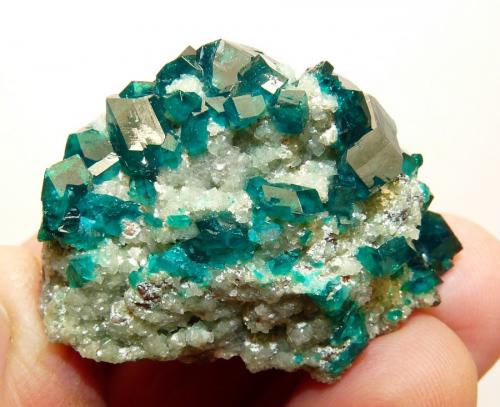 Dioptase on calcite.
Tsumeb, Namibia
45 x 33 x 30 mm
Same as above. (Author: Pierre Joubert)