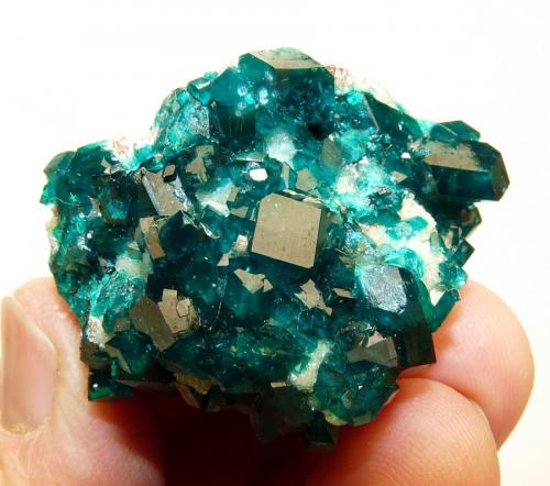 Dioptase on calcite.
Tsumeb, Namibia
45 x 33 x 30 mm
Same as above. (Author: Pierre Joubert)