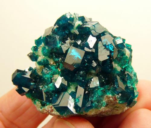 Dioptase on calcite.
Tsumeb, Namibia
45 x 33 x 30 mm (Author: Pierre Joubert)