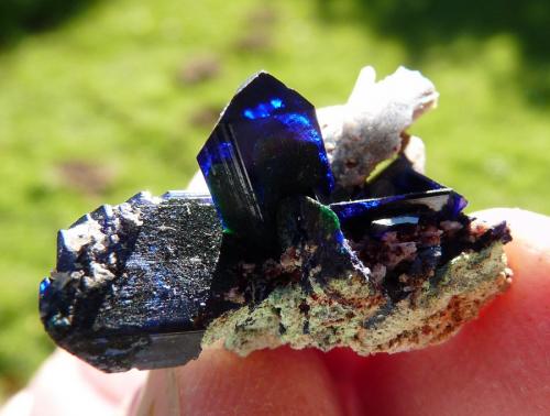 Azurite
Tsumeb, Namibia
26 x 17 x 16 mm
Sunlight behind. (Author: Pierre Joubert)