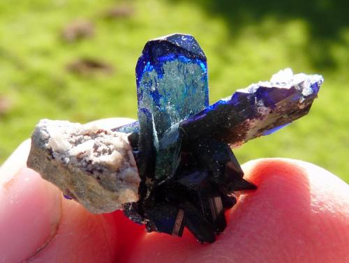 Azurite
Tsumeb, Namibia
26 x 17 x 16 mm
Sunlight behind. (Author: Pierre Joubert)