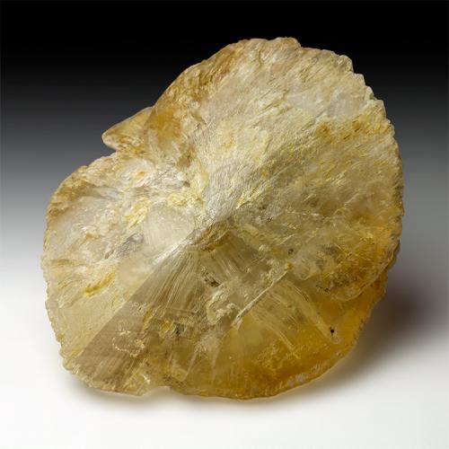 Gypsum
Dämmelwald Clay Pit, Wiesloch, Baden-Württemberg, Germany
6.8 x 5.7 x 2.5 cm (Author: xdxucn)