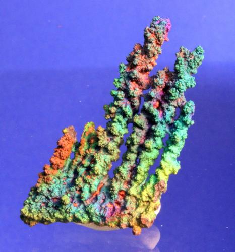 Goethite
Filón Sur open pit (Filón Sur Mine), Tharsis Mines, Tharsis, Alosno, Huelva, Andalusia, Spain
4.4 x 2.1 cm
ex Fermin Clemente
Very aerial parallel columnar growths with strongly iridescent areas that have a dominant green color with red and blue on the tips and on the base. (Author: Don Lum)