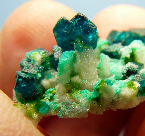 Dioptase, calcite and duftite.
Tsumeb, Namibia
Field of view, approx. 17 mm
Same specimen as above. (Author: Pierre Joubert)