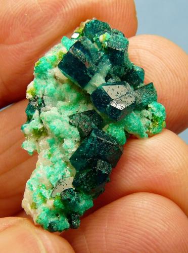 Dioptase, calcite and duftite.
Tsumeb, Namibia
34 x 21 x 14 mm (Author: Pierre Joubert)