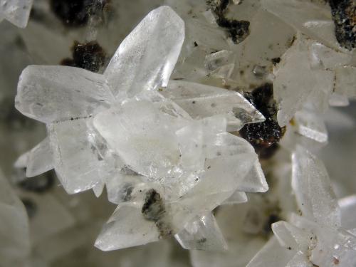 Pentahydroborite
Shijiangshan, Ulanhad League, Inner Mongolia A.R., China
FOV 0.9 cm
Note the Wurtzite crystal groups backwards. (Author: Cesar M. Salvan)