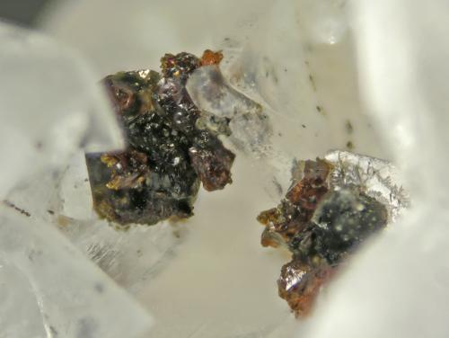 Wurtzite
Shijiangshan, Ulanhad League, Inner Mongolia A.R., China
FOV 0.3 cm
The high temperature hexagonal polymorph of Sphalerite, here crystallized on Pentahydroborite (Author: Cesar M. Salvan)