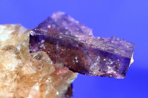Fluorite, Calcite
Minerva No. 1 Mine (Ozark-Mahoning No. 1 Mine) Ozark-Mahoning Group, Cave-in-Rock Sub-District, Illinois - Kentucky Fluorspar District, Hardin Co., Illinois, USA
12.5 x 8.5 cm (Author: Don Lum)