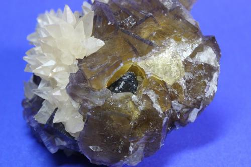 Fluorite, Calcite, Sphalerite
Annabel Lee mine, Harris Creek Sub-District, Illinois - Kentucky Fluorspar District, Hardin Co., Illinois, USA
17.6 x 13.5 cm (Author: Don Lum)