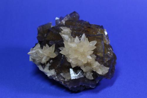 Fluorite, Calcite, Sphalerite
Annabel Lee mine, Harris Creek Sub-District, Illinois - Kentucky Fluorspar District, Hardin Co., Illinois, USA
17.6 x 13.5 cm (Author: Don Lum)