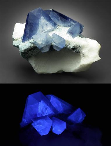 Benitoite
Benitoite Mine, San Benito County, California, USA
15 x 18 x 14 mm
 (Author: xdxucn)