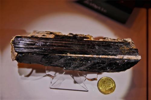 Tourmaline
Sibiu County, Romania
160 mm x 30 mm x 40 mm
During my university years I took a similar sample from a mezometamorphic pegmatite in  Sebes-Lotru  Serie.  The tourmaline is associated with albite, quartz and muscovite. (Author: Adrian Pripoae)