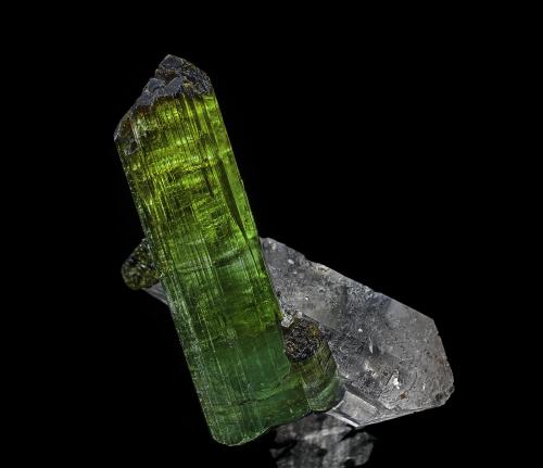 Elbaite, Quartz
Cruzeiro mine, São José da Safira, Doce valley, Minas Gerais, Brazil
4.2 x 4.7 cm (Author: am mizunaka)