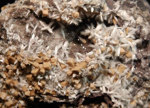 Bultfonteinite<br />N'Chwaning II Mine, N'Chwaning mining area, Kuruman, Kalahari manganese field (KMF), Northern Cape Province, South Africa<br />5.5 x 10.0 cm  FOV ~ 4.0 cm<br /> (Author: crosstimber)