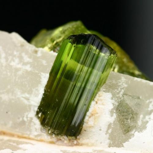 Elbaite on quartz<br />Vale do Jequitinhonha, Minas Gerais, Brazil<br />Crystal size ~ 2 cm<br /> (Author: Tobi)