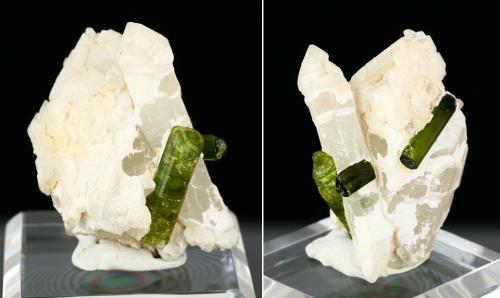Elbaite on quartz<br />Jequitinhonha, Minas Gerais, Brazil<br />Specimen height 5 cm, largest tourmalines 2 cm<br /> (Author: Tobi)