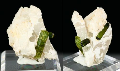 Elbaite on quartz<br />Vale do Jequitinhonha, Minas Gerais, Brazil<br />Specimen height 5 cm, largest tourmalines 2 cm<br /> (Author: Tobi)
