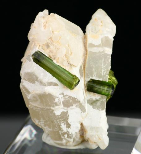 Elbaite on quartz<br />Vale do Jequitinhonha, Minas Gerais, Brazil<br />Specimen height 5 cm, largest tourmalines 2 cm<br /> (Author: Tobi)