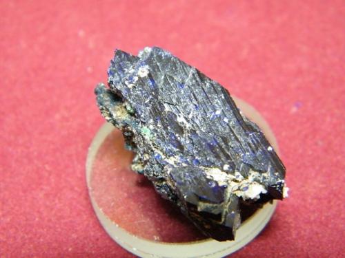 Azurite<br />Tsumeb Mine, Tsumeb, Otjikoto Region, Namibia<br />30x15mm<br /> (Author: Heimo Hellwig)