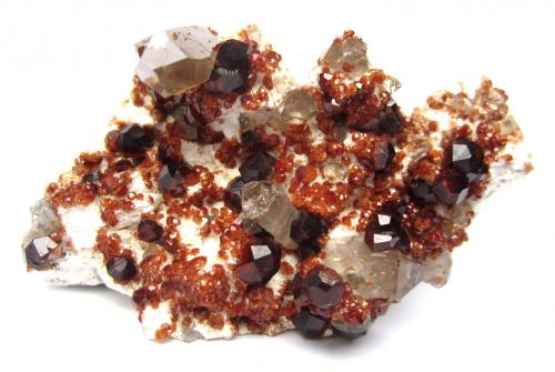 Spessartine and smoky quartz on feldspar<br />Wushan Spessartine prospects, Tongbei, Yunxiao, Zhangzhou Prefecture, Fujian Province, China<br />Specimen size 8 cm<br /> (Author: Tobi)