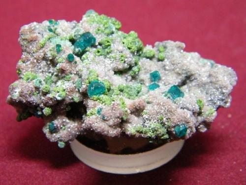 Dioptase<br />Tsumeb Mine, Tsumeb, Otjikoto Region, Namibia<br />50x30mm<br /> (Author: Heimo Hellwig)