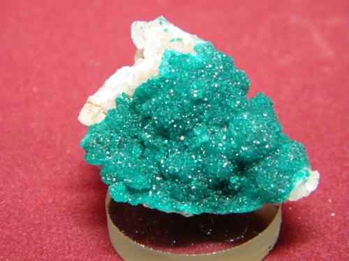 Dioptase<br />Tsumeb Mine, Tsumeb, Otjikoto Region, Namibia<br />40x30mm<br /> (Author: Heimo Hellwig)