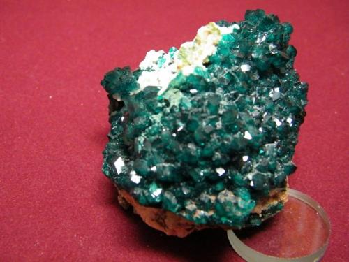 Dioptase<br />Tsumeb Mine, Tsumeb, Otjikoto Region, Namibia<br />60x50mm<br /> (Author: Heimo Hellwig)