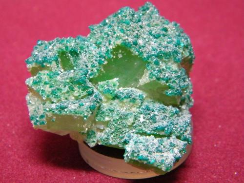 Calcite with Dioptase<br />Tsumeb Mine, Tsumeb, Otjikoto Region, Namibia<br />40x35mm<br /> (Author: Heimo Hellwig)