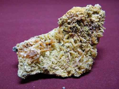 Mimetite<br />Tsumeb Mine, Tsumeb, Otjikoto Region, Namibia<br />90x50mm<br /> (Author: Heimo Hellwig)