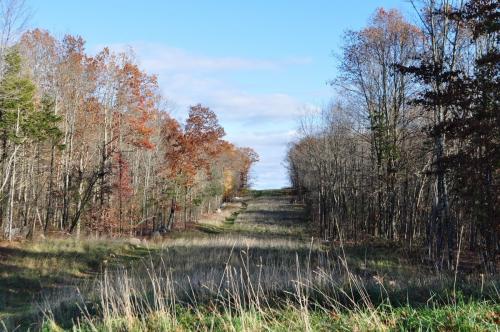 The back yard and more (Author: Glenn Rhein)