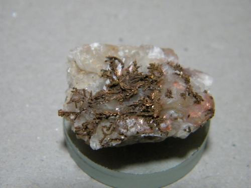 Copper<br />Mina Tsumeb, Tsumeb, Región Otjikoto, Namibia<br />30x20mm<br /> (Author: Heimo Hellwig)