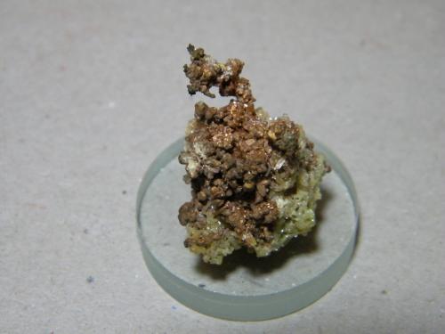 Copper<br />Mina Tsumeb, Tsumeb, Región Otjikoto, Namibia<br />20x20mm<br /> (Author: Heimo Hellwig)