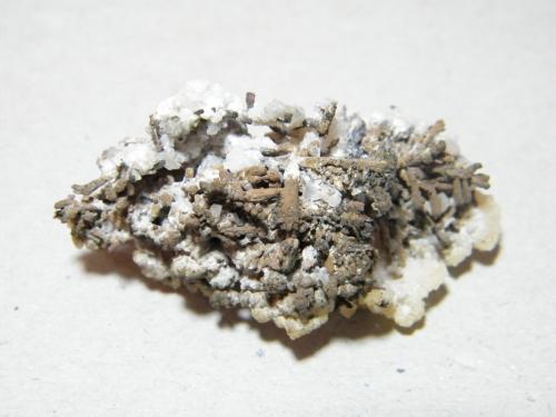 Copper<br />Mina Tsumeb, Tsumeb, Región Otjikoto, Namibia<br />45x25mm<br /> (Author: Heimo Hellwig)