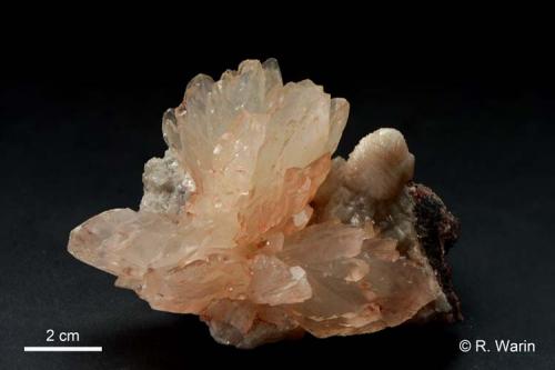 Calcite<br />Kipushi Mine, Kipushi, Katanga Copper Crescent, Katanga (Shaba), Democratic Republic of the Congo (Zaire)<br />10 cm wide<br /> (Author: Roger Warin)