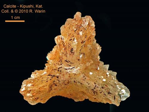 Calcite<br />Kipushi Mine, Kipushi, Katanga Copper Crescent, Katanga (Shaba), Democratic Republic of the Congo (Zaire)<br />55 mm wide<br /> (Author: Roger Warin)